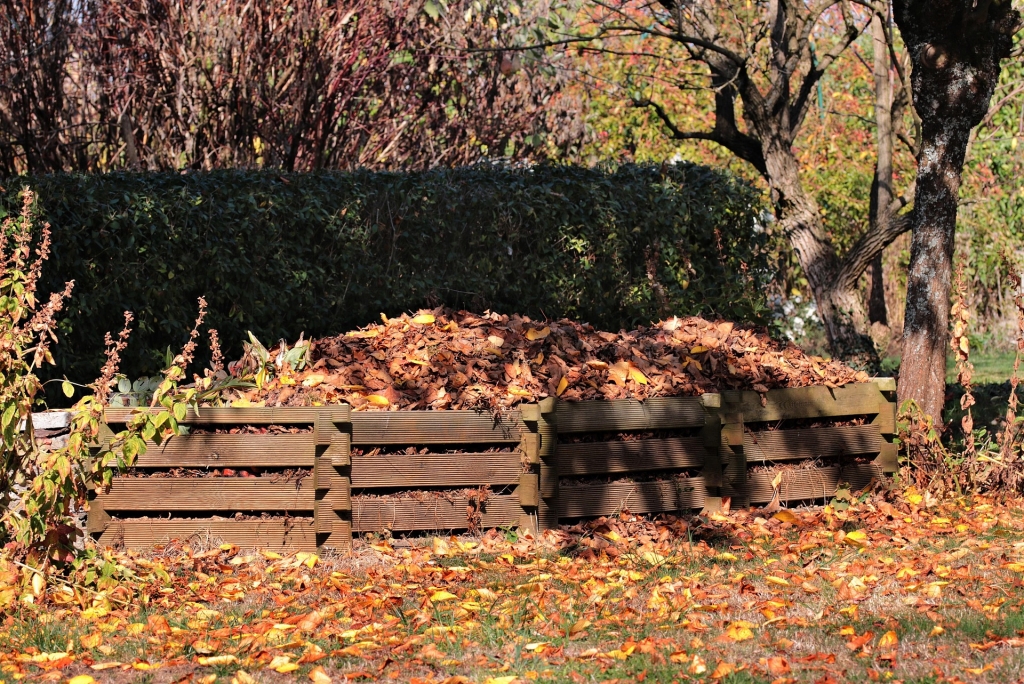 fall-3755125_1920.jpg