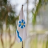 Tartu vald